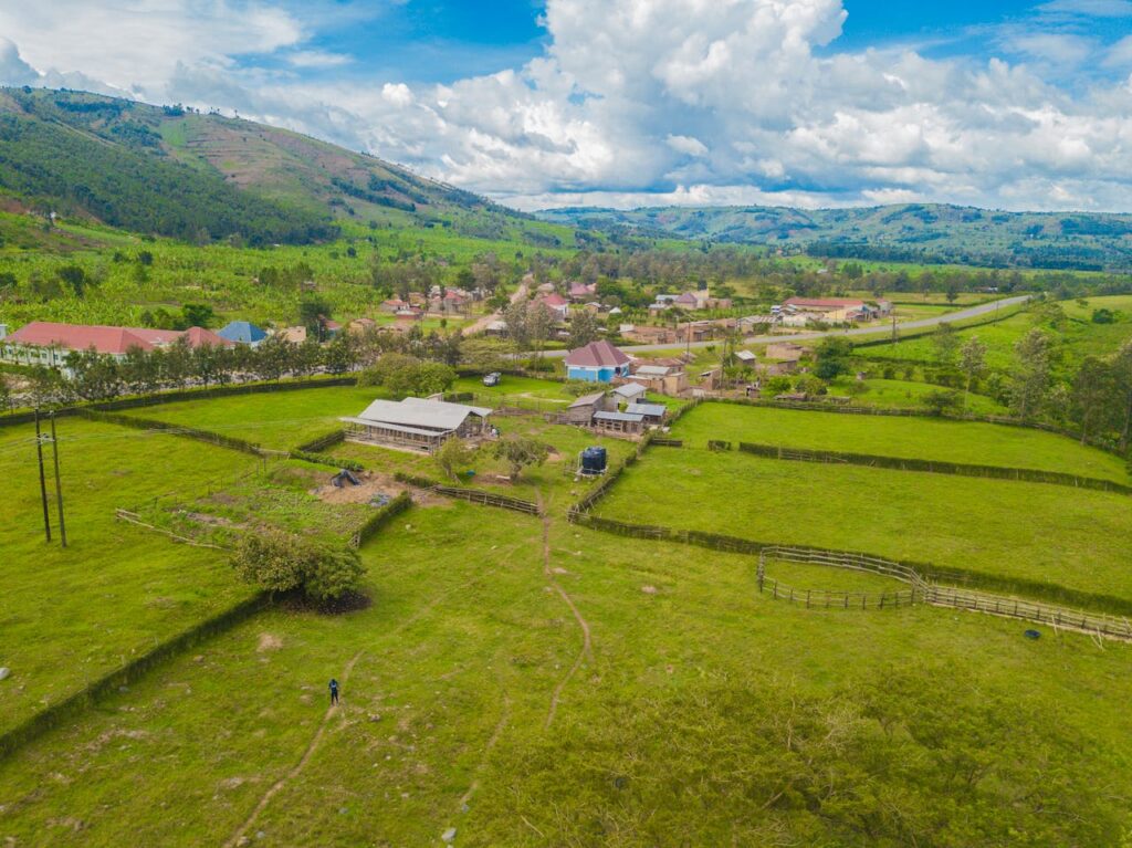 types of partition actions